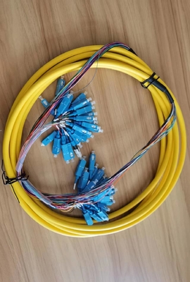Cordon de patch pré-terminé SC/UPC à 24 cœurs avec plateau d'installation maximum Numéro de plateau de jonction 1